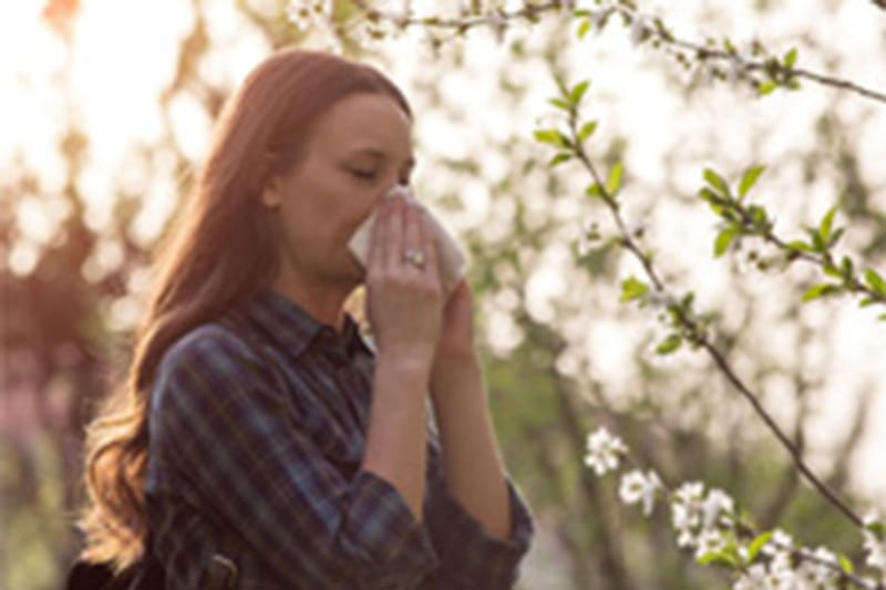 Les allergies estivales 