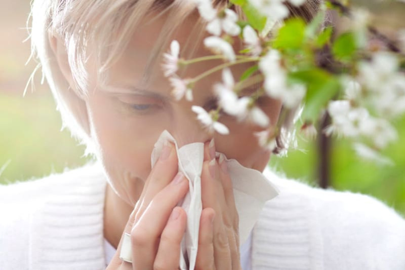 La moustiquaire, une solution efficace face au pollen !